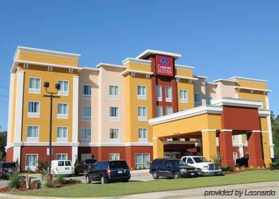 Comfort Suites Near Tanger Outlet Mall Gonzales Ngoại thất bức ảnh