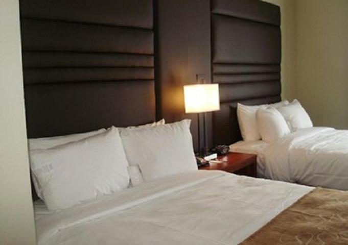 Comfort Suites Near Tanger Outlet Mall Gonzales Ngoại thất bức ảnh